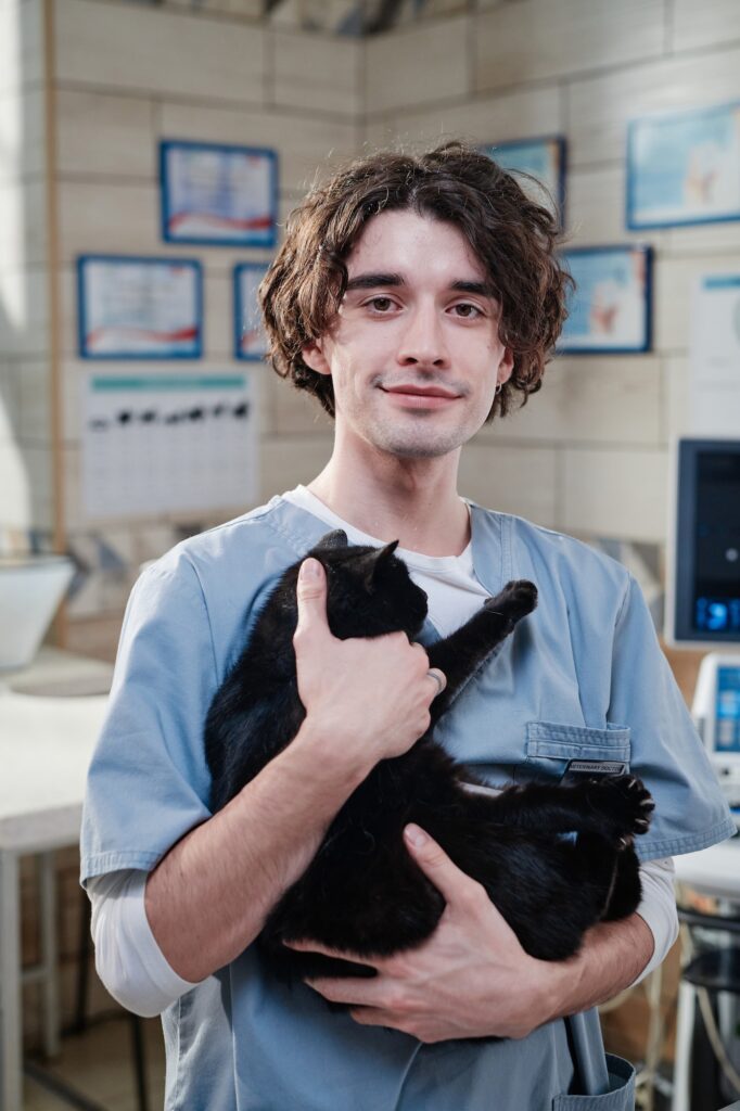 Young vet doctor with domestic cat